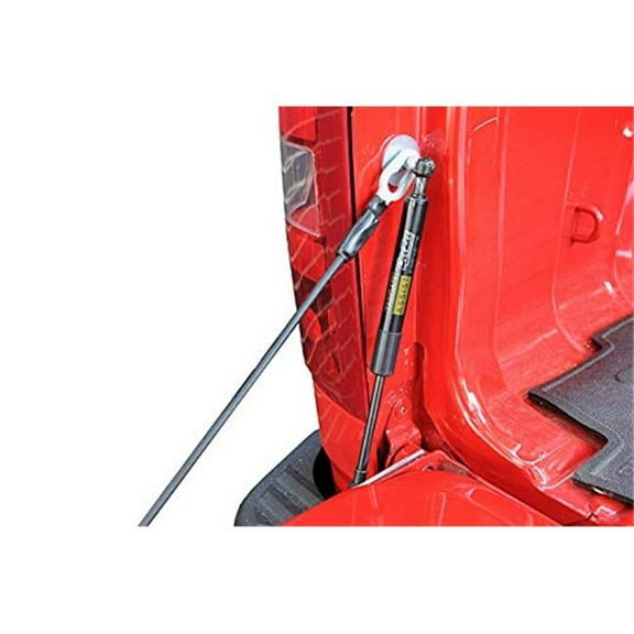 Dee Zee DZ43103 Tailgate Assist for 2019 Ford Ranger