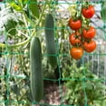 thumbnail image 3 of Garden Trellis for Plant Growth, Flexible & Strong Grid Mesh Vine Climbing Plant Support Netting, 3 of 8