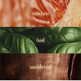 thumbnail image 2 of Body Mist Noteworthy n,307 Sunlit Grove Mandarin Clementine, 2 of 7