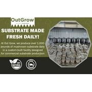 Mushroom Grow Kit (Quick Kit)