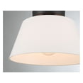 thumbnail image 3 of Meridian M60077BN 1-Light Ceiling Light in Brushed Nickel, 3 of 7