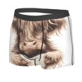 thumbnail image 2 of Balery Relaxed Cute Cow Reading Men's Boxer Briefs, Soft and Breathable Cotton Underwear with nylon Waistband-XX-Large, 2 of 9