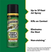 Spectracide Wasp & Hornet Killer Aerosol Spray, Twin Value Pack, 18.5 Ounce
