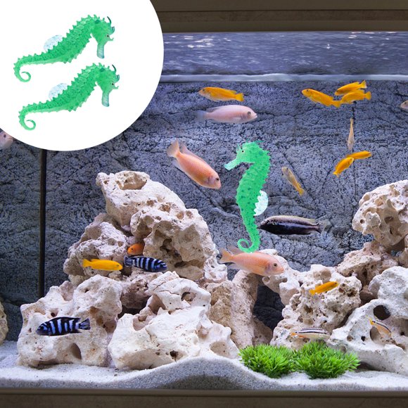 Moluckfu 2Ud Para Paisaje Y De Acuario