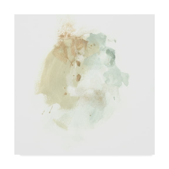 Trademark Fine Art 'Liquid Echo IV' Canvas Art by June Erica Vess