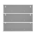 thumbnail image 3 of Space-Saving Solution - Stackable Shoe Cabinet with Multiple LED Colors, 3 of 6