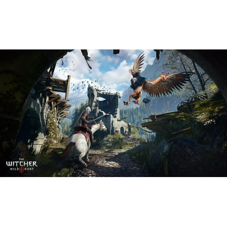 The Witcher 3 Wild Complete Warner Bros, Xbox One, 883929556502