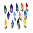 thumbnail image 3 of Plumas de sombrero Perfecl para sombreros Fedora y vaquero Cantidad 13, 3 of 8