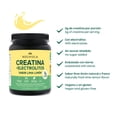 thumbnail image 4 of NOCHIOLA Creatina con Electrolitos, Sabor Lima-Lim&oacute;n, 5g Creatina por Porci&oacute;n, Sin Az&uacute;car, Endulzado con Stevia, 300g, 30 Porciones, 4 of 5