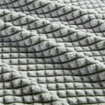 thumbnail image 4 of Madison Park Carved Plush Traditional Polyester Fabric Twin Blanket in Green, 4 of 6
