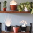 thumbnail image 5 of Light Projections Plant Pot with 7 Plant Accessories, Black Hole Projection Lamp, 5 of 5