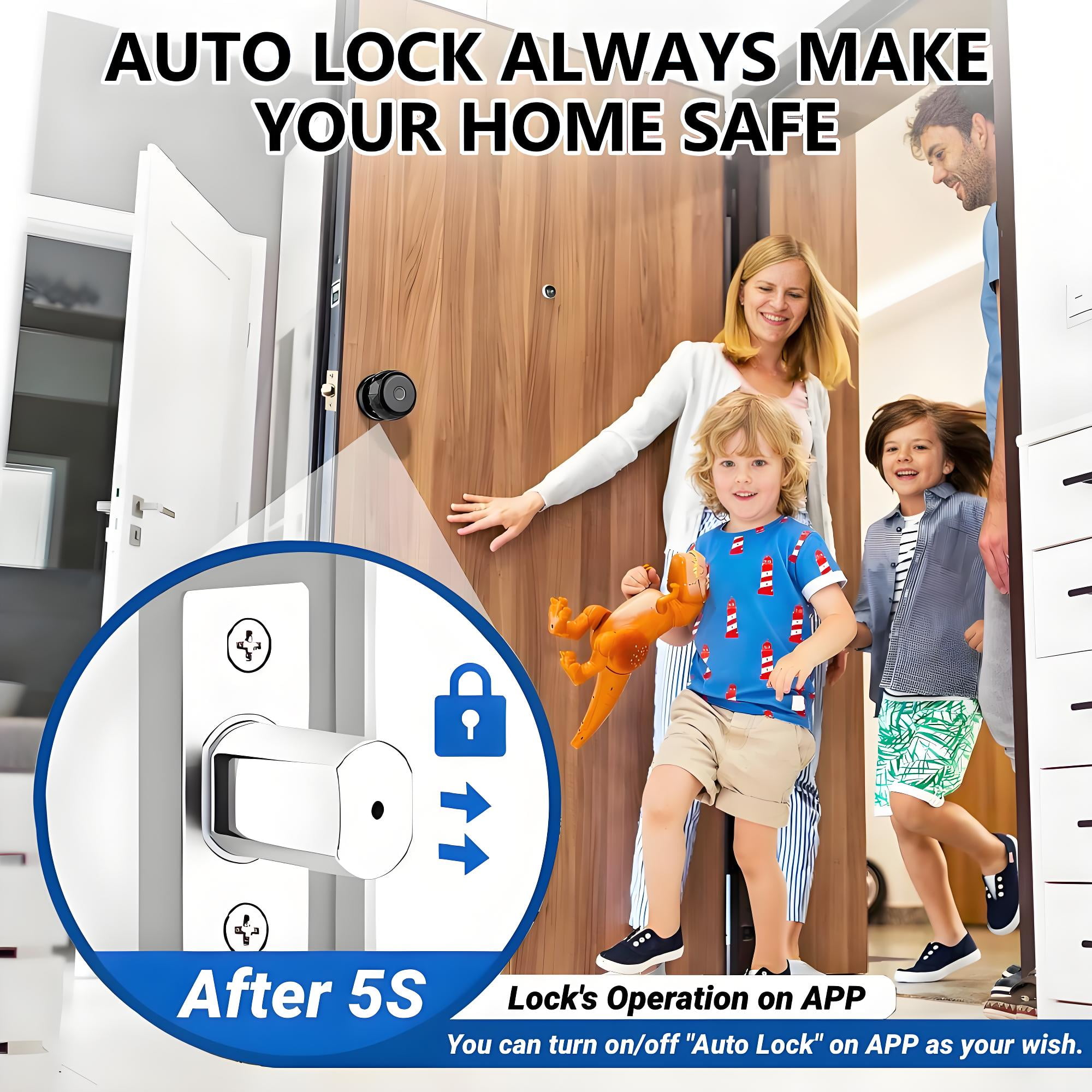 Door Knob,Blacksmith Smart Door Knob With 3 Ways Quick Unlock,Smart Door Lock,Black