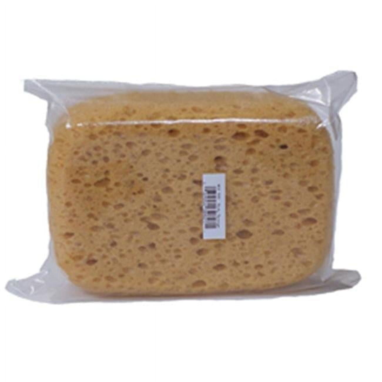 16DBS Medium Body Sponge