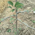 thumbnail image 4 of 30/50Pcs 4 Size Reusable Branch Limb Spreader Garden Yard Trees Branches Fixator Strong Fruit Tree Support Holder Vine Trainers, 4 of 10