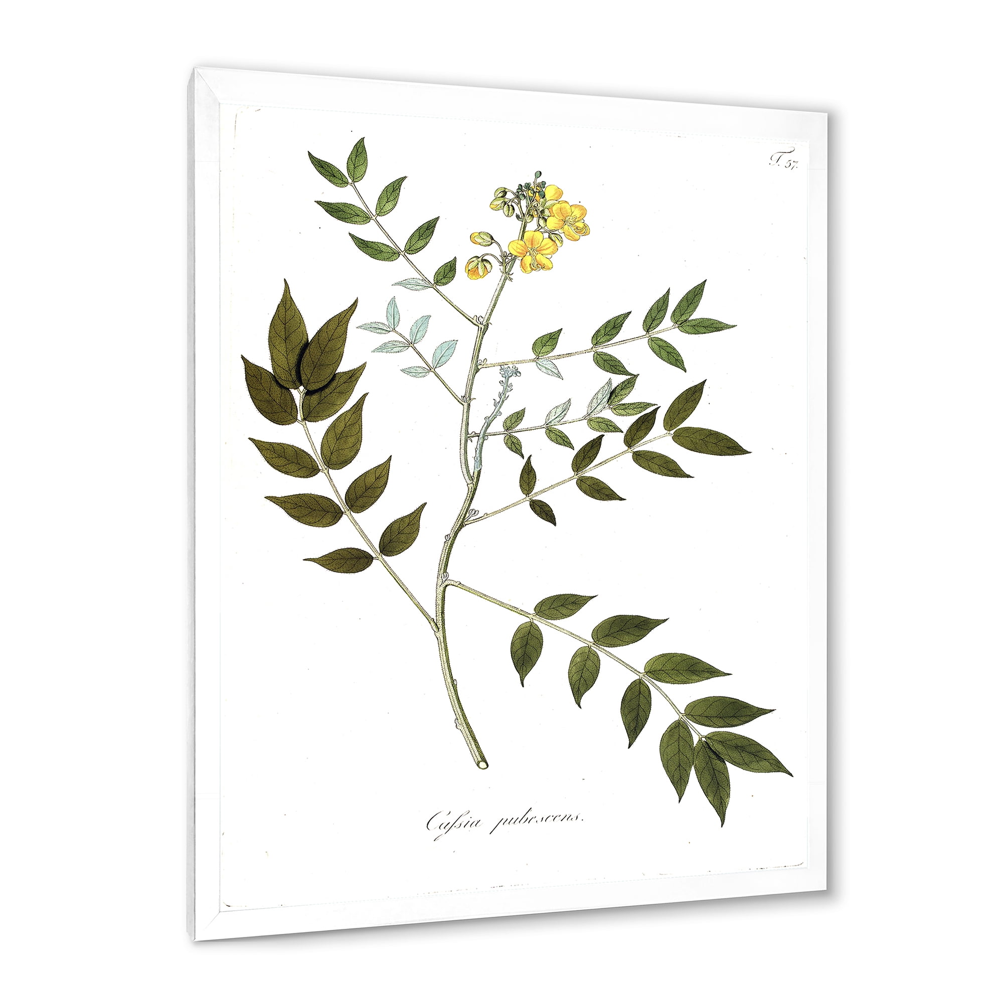 Designart 'Ancient Botanicals XVIII' Traditional Framed Art Print