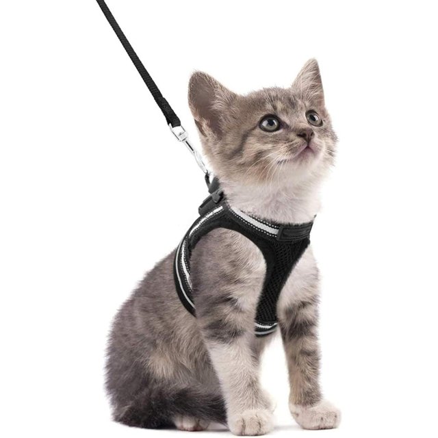 Juego de arnés y correa para gatos para caminar a prueba de escapes, chaleco ajustable suave para gatitos con tira reflectante para gatos, cómodo chaleco para exteriores, negro, S