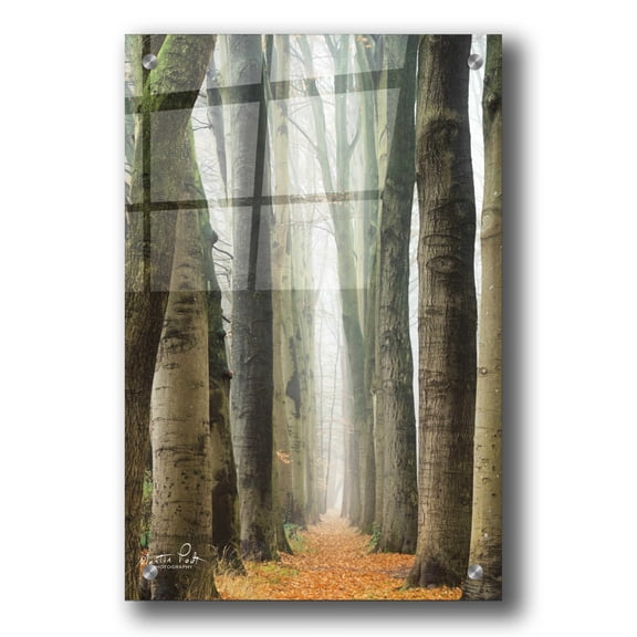 Epic Art 'Narrow Alley in the Netherlands' by Martin Podt, Acrylic Glass Wall Art, 24"x36"