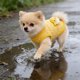 thumbnail image 1 of Abrigo de invierno para perro - Chaleco térmico sin mangas, poliéster cortavientos y repelente al agua, amarillo, 13,78x9,84 in, 1 of 6