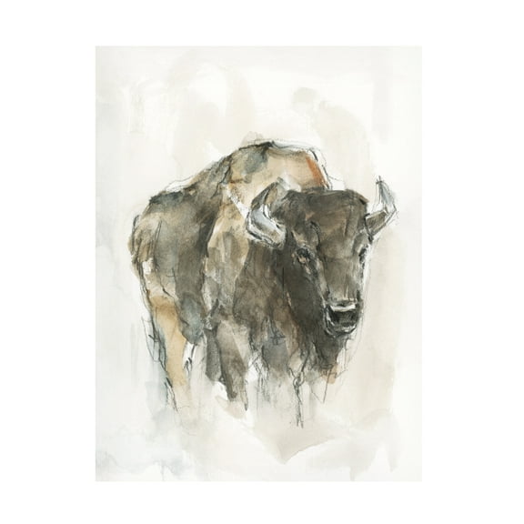 Ethan Harper ' Buffalo I' Canvas Art