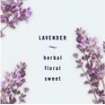 thumbnail image 2 of Generic Febreze Air Freshener, 2 Ct, 8.8 Fl oz (Lavender), 2 of 7