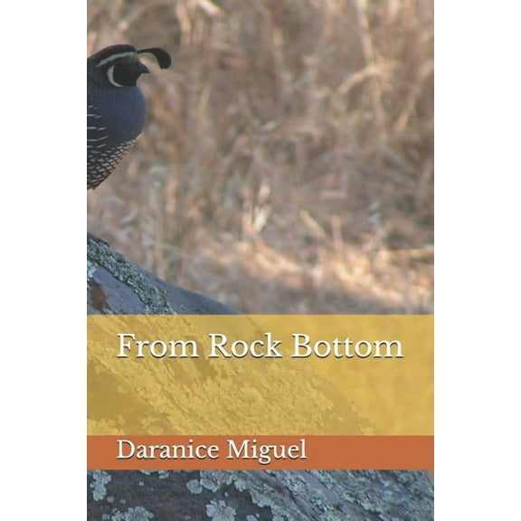 From Rock Bottom (Paperback)