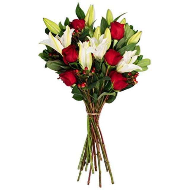 benchmark bouquets red elegance, no vase (fresh cut flowers)