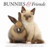 Carousel Calendars, Bunnies and Friends 2027 Wall Calendar by Gladstone Media
