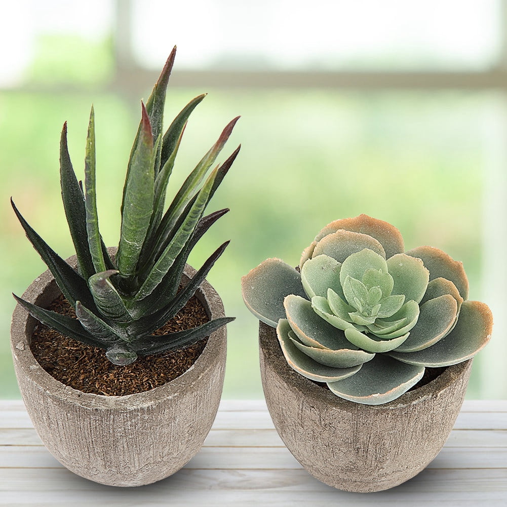 Mgaxyff Fake Succulent Plants 2pcs Miniature Artificial Succulent ...