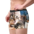 thumbnail image 2 of Pofeuu Playful Cat Print Men’s Boxer Briefs, Moisture-Wicking Underwear, Regular,Trunk-XX-Large, 2 of 5