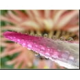 thumbnail image 2 of Digital Nc New 0.45x High Grade Wide Angle Conversion Lens (37mm) for Sony HDR-CX360V, 2 of 4