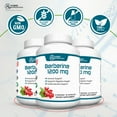 thumbnail image 4 of Hybrid Nutraceuticals Berberine 1200mg - Concentrated Berberine HCl Formula - Immune Support, Digestive Support, Healthy Weight - Gluten Free, 60 Capsules, 4 of 8