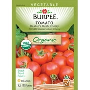 Burpee-Tomato, Baxter's Bush Cherry Organic Seed Packet
