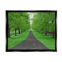Stupell Industries Tree Grove Path Landscape Nature Photography Black Floater Framed Art Print Wall Art, 21 x 17