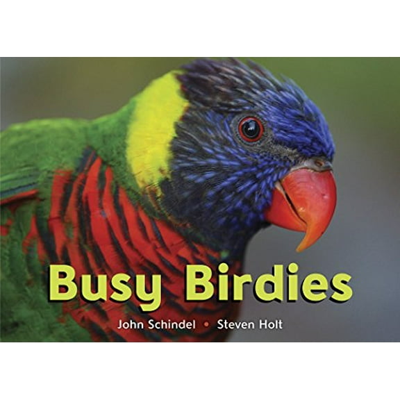 Pre-Owned Busy Birdies (Board book) 1582463174 9781582463179
