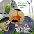 thumbnail image 4 of Long Stainless Steel Reptile Feeding Tongs,Straight and Curved Tweezer Feeder Tool with Rubber Tip,Feeding Tweezer for Lizards and Bearded Dragon,Terrarium Feeder Tool,2 Pcs,15'', 4 of 8