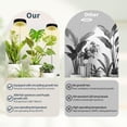 thumbnail image 7 of Halo Grow Lights for Indoor Plant, 40'' Height Adjustable Plant Grow Lights with Fan, Full  Led Plant Lights for Indoor Growing with Timer and 3 Levels Dimmable for Small/Medium Plants,2 Packs, 7 of 7