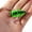 2-5.5 grams], variant on 5.5g Cicada Lure, Realistic Insect Topwater Bait, Floating Popper for Bass, Snakehead & Culter