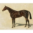 thumbnail image 3 of Emil Adam 18x15 Black Modern Framed Museum Art Print Titled - A Dark Brown Thoroughbred Mare, 3 of 5