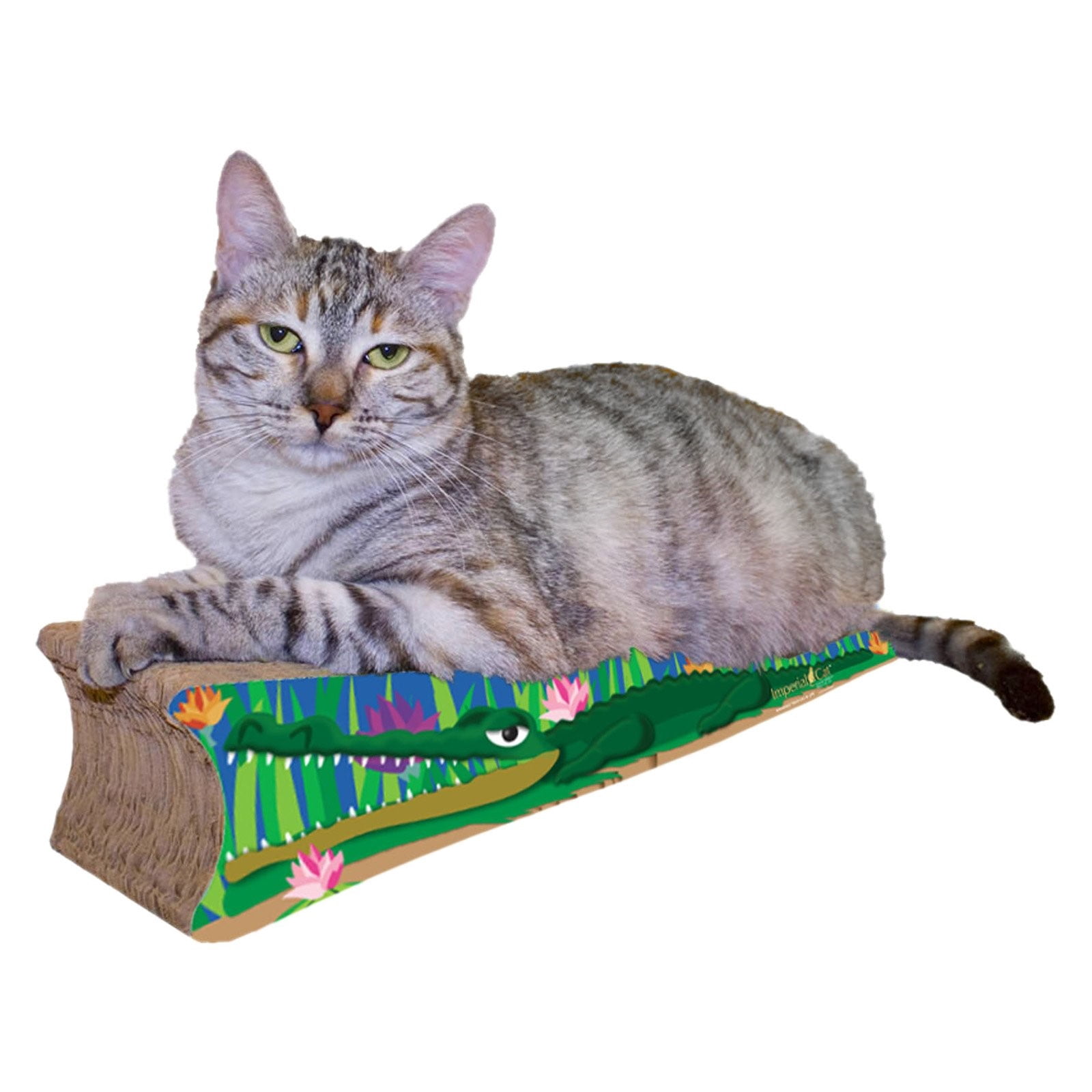 Imperial Cat Scratch 'n Shapes Crocodile