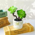 thumbnail image 3 of Coofit Artificial Succulent Decorative Lifelike Simulated Potted Plant Potted Succulent, 3 of 7