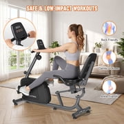 Naipo Recumbent Exercise Bike Stationary Bike 300LBS Weight Capacity Indoor Exercise Bike for Seniors with 16 Levels Magnetic Resistance with LCD Monitor Heart Rate Handle for Home