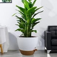 thumbnail image 5 of 12 inch Large Self Watering Pots, Plastic Planters with 60oZ Removable Deep Reservoir and Multi Mesh Drainage Holes for Indoor Outdoor Garden Plants and Flowers, White with Brown, 5 of 6