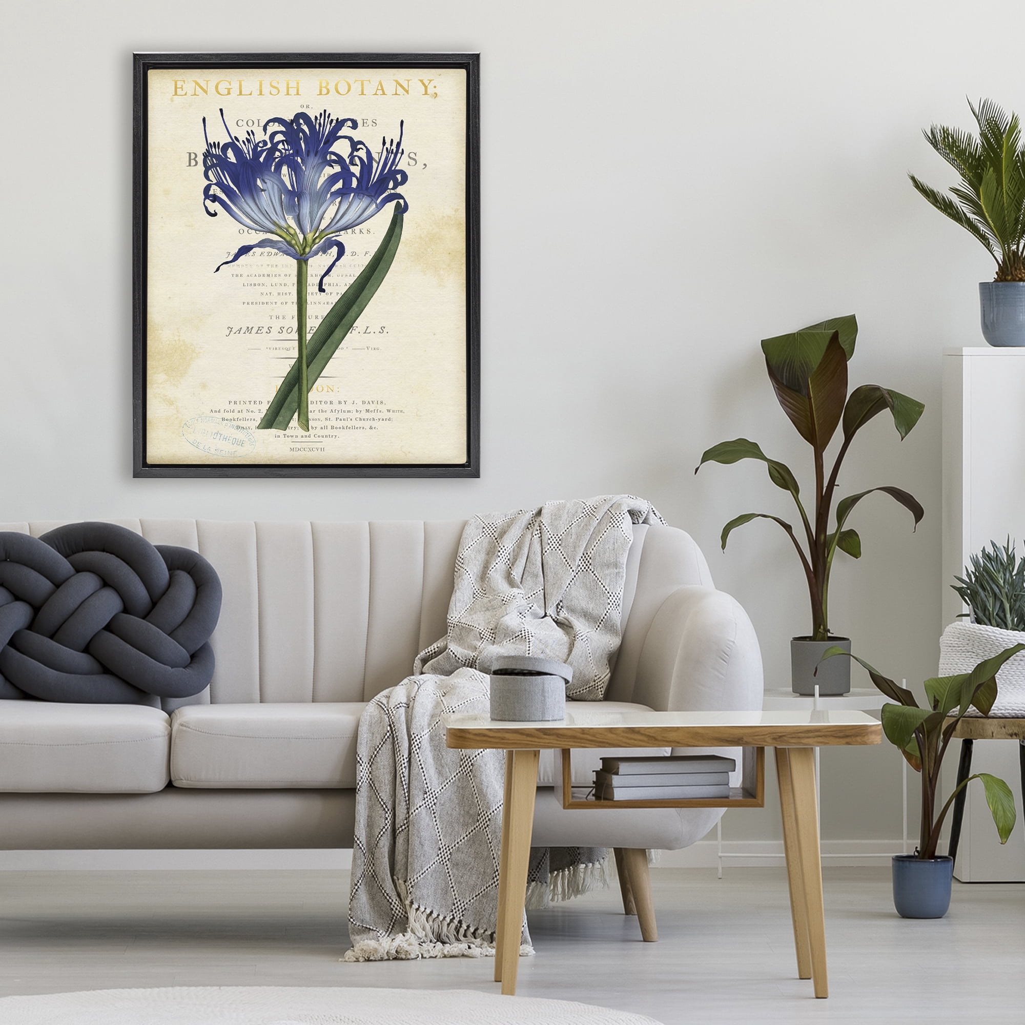 Stupell Industries English Botany Blue Floral Black Framed Floater Canvas Wall Art, design by Susan Arnot