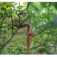 thumbnail image 3 of Fruit Tree Netting 1.8m X 1.8m, Plant Insect Netting, Fine Mesh Insect Netting with Drawstring,, 3 of 5