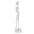 thumbnail image 1 of Modelo de esqueleto humano modelo anatómico humano único para enseñanza de anatomía científicos expertos estudiantes niños investigación de estructura humana ANGGREK Otros, 1 of 8