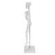 thumbnail image 4 of Modelo de esqueleto humano de 45cm, extremidades móviles, enseñanza anatómica, modelo de aprendizaje, suministros científicos, 4 of 5