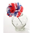 thumbnail image 2 of 100-Pack Silk Carnation Picks, Red, White & Blue, Patriotic Floral Accents, Perfect for Celebrations & Festive Decor, 2 of 6