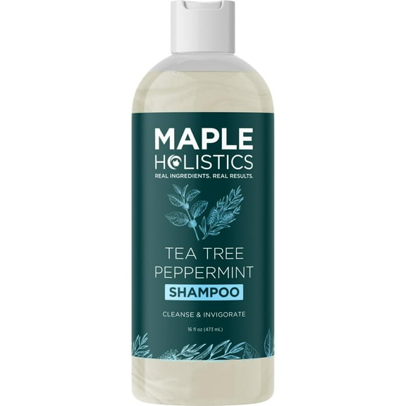 Maple Holistics Tea Tree Mint Shampoo Sulfate Free for Clarifying Scalp Care, 16 fl oz