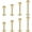 Gold, variant on Briana Williams 16G Stainless Steel 3mm Ball Labret Monroe Lip Tragus Helix Earring Stud Barbell Ring Body Piercing Jewelry Kit