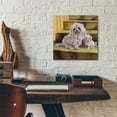 thumbnail image 5 of Epic Art 'Maltese' by Barbara Keith, Acrylic Glass Wall Art, 12"x12", 5 of 8